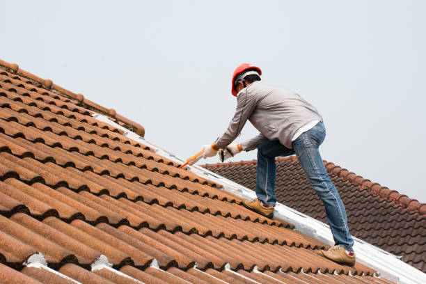 Best Asphalt Shingle Roofing  in Oak Island, NC